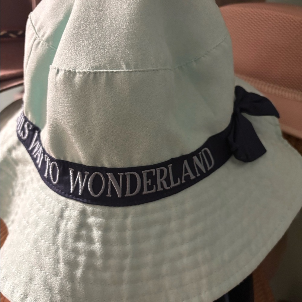 Disney Alice in Wonderland Bucket Hat Ladies reversible!